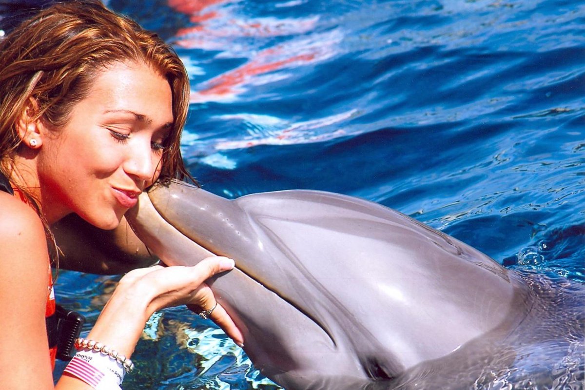 Swimming with Dolphins in Alanya gallery 4