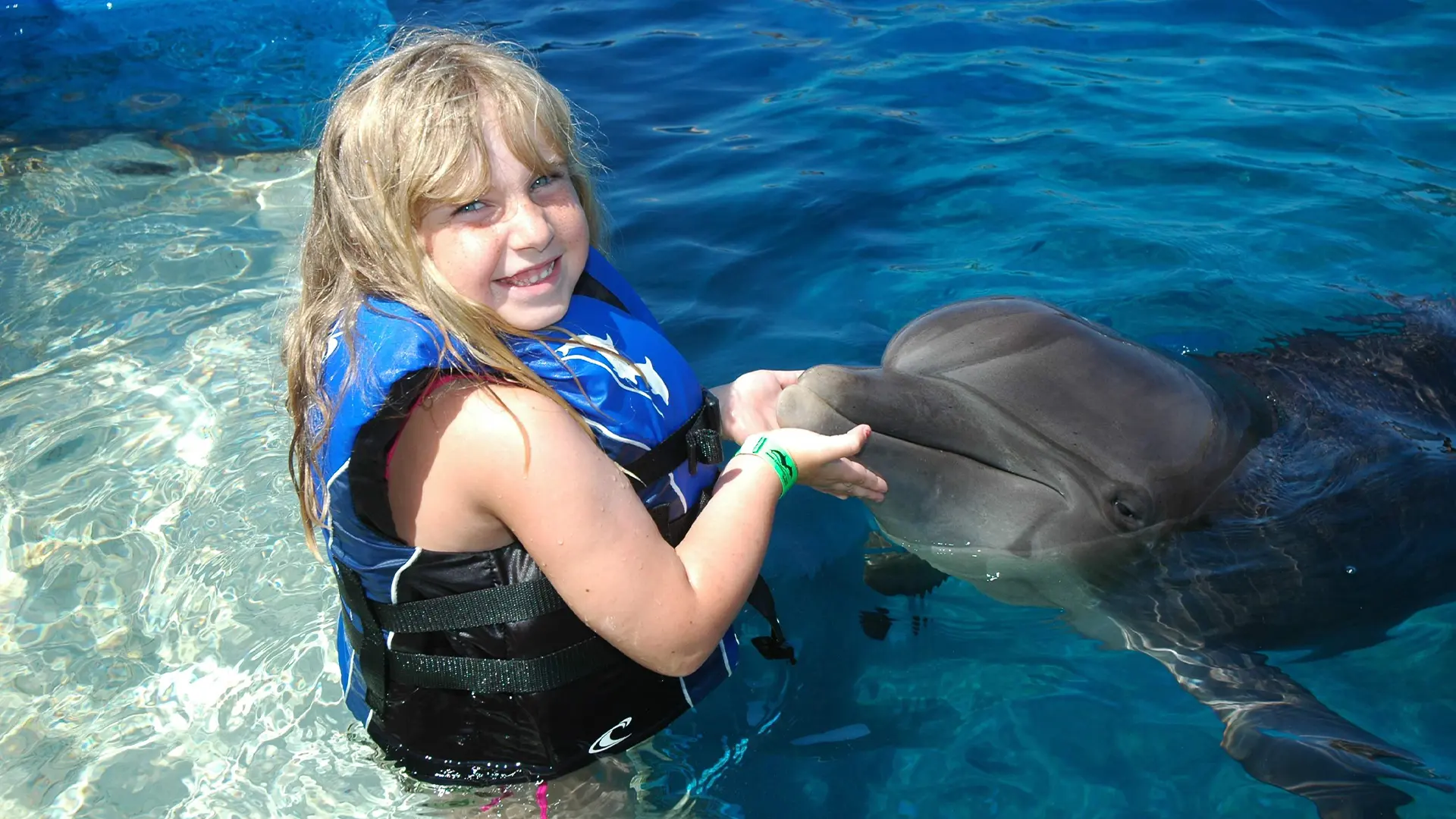 Swimming with Dolphins in Alanya gallery 5