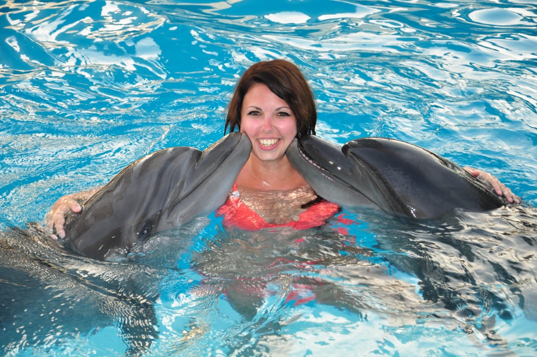 Swimming with Dolphins in Alanya gallery 8