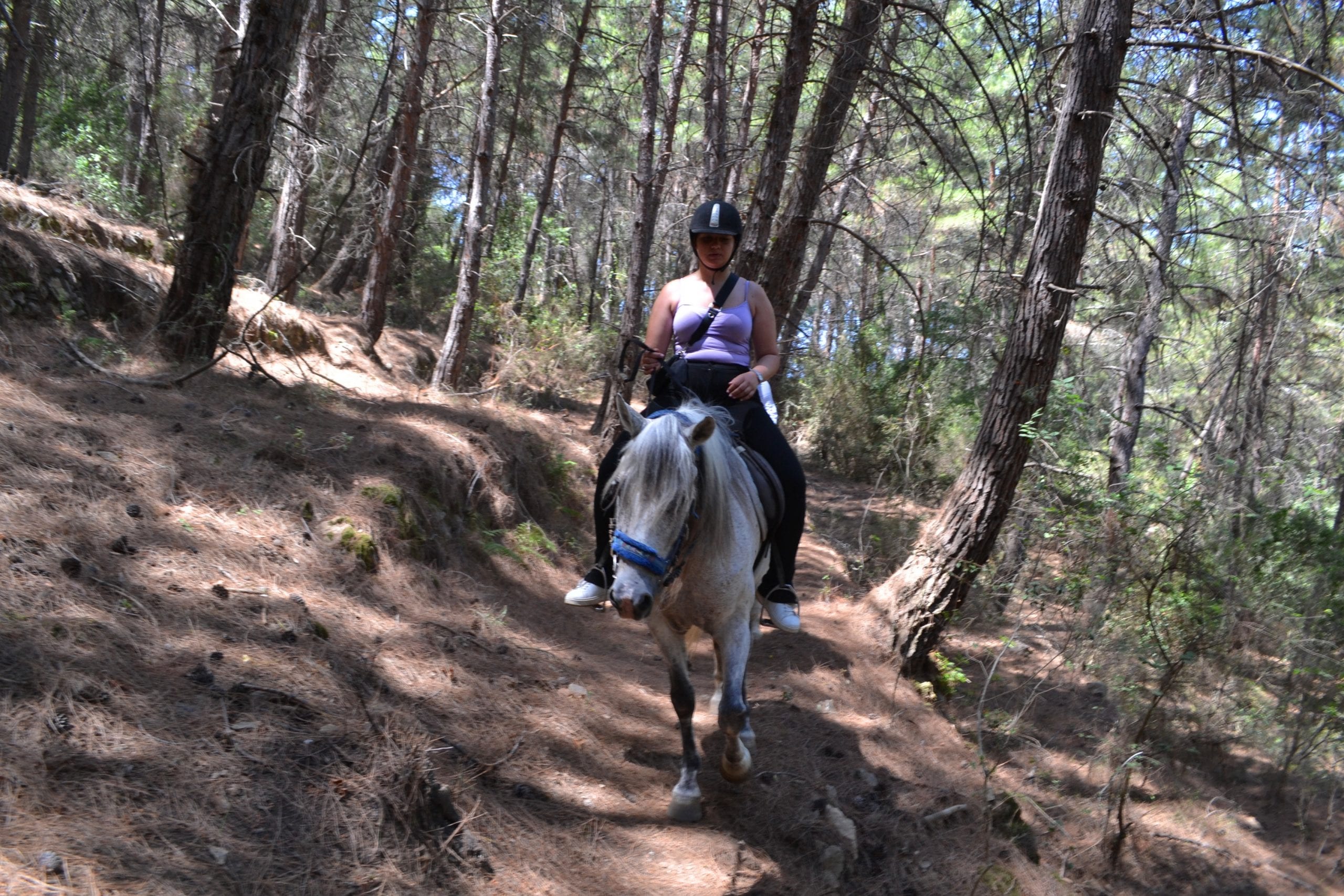 Horse Riding in Alanya gallery 6
