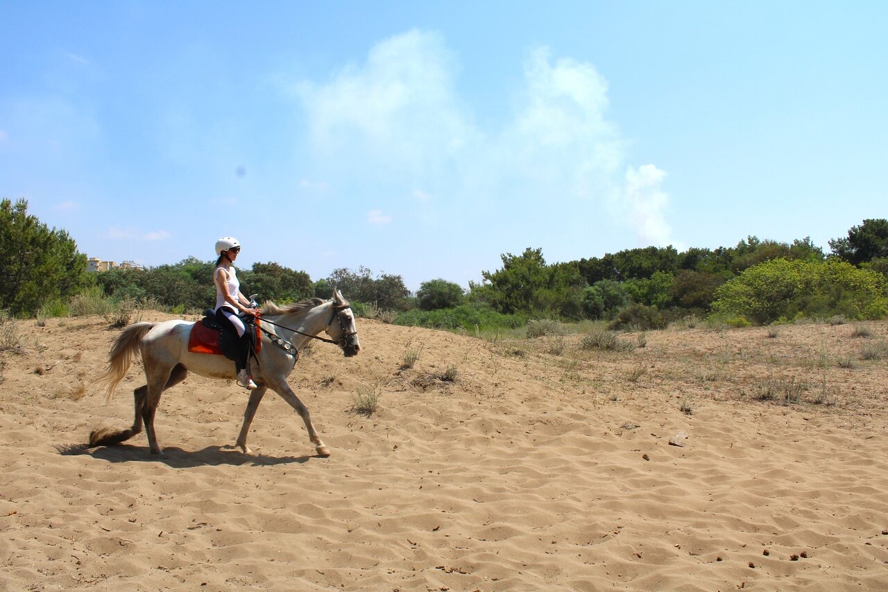 Horse Riding in Alanya gallery 3