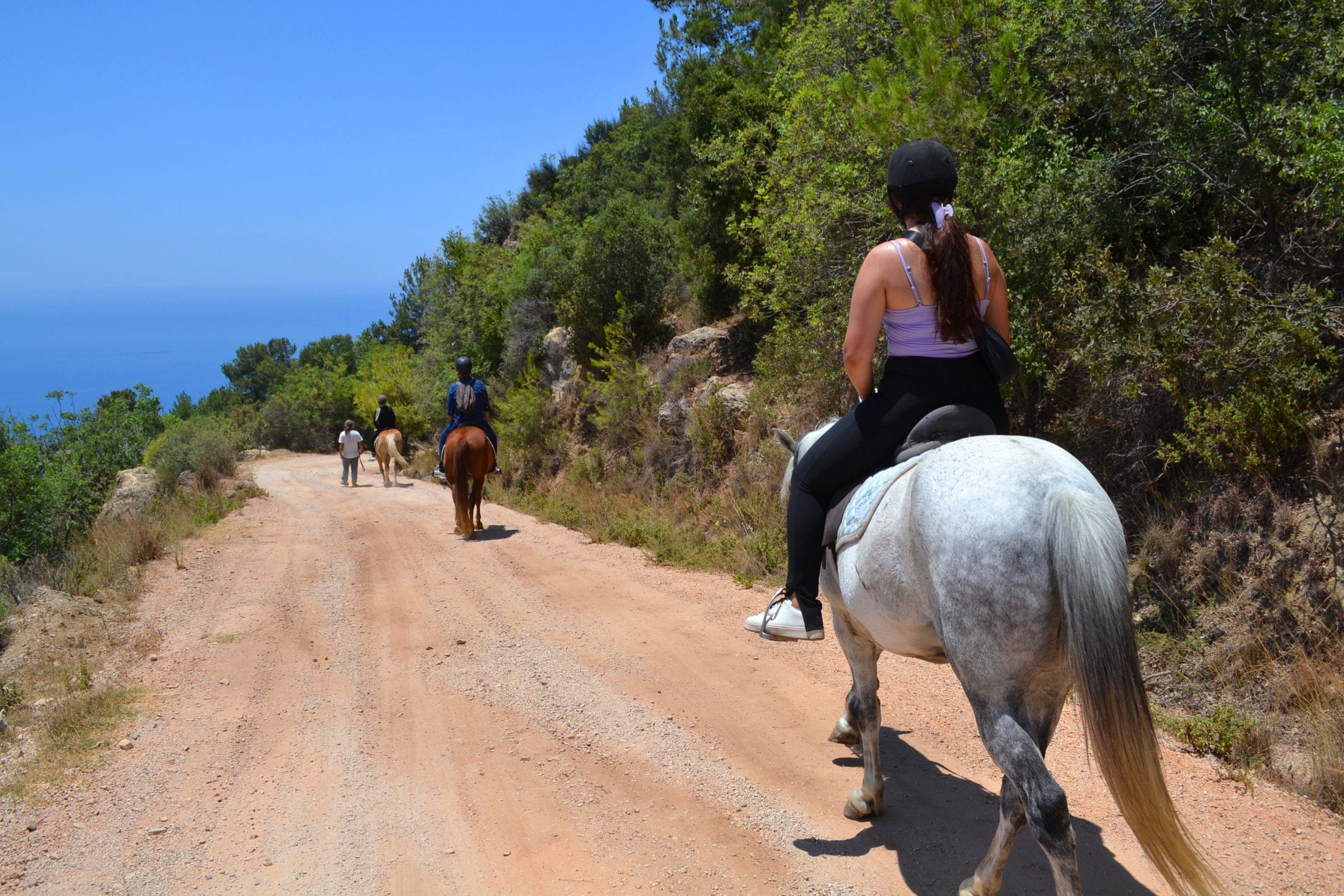 Horse Riding in Alanya gallery 4
