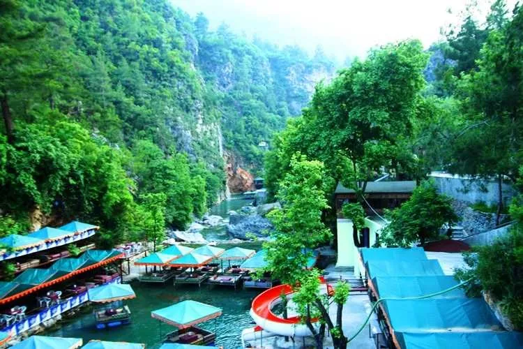Dimçayı Rehberi