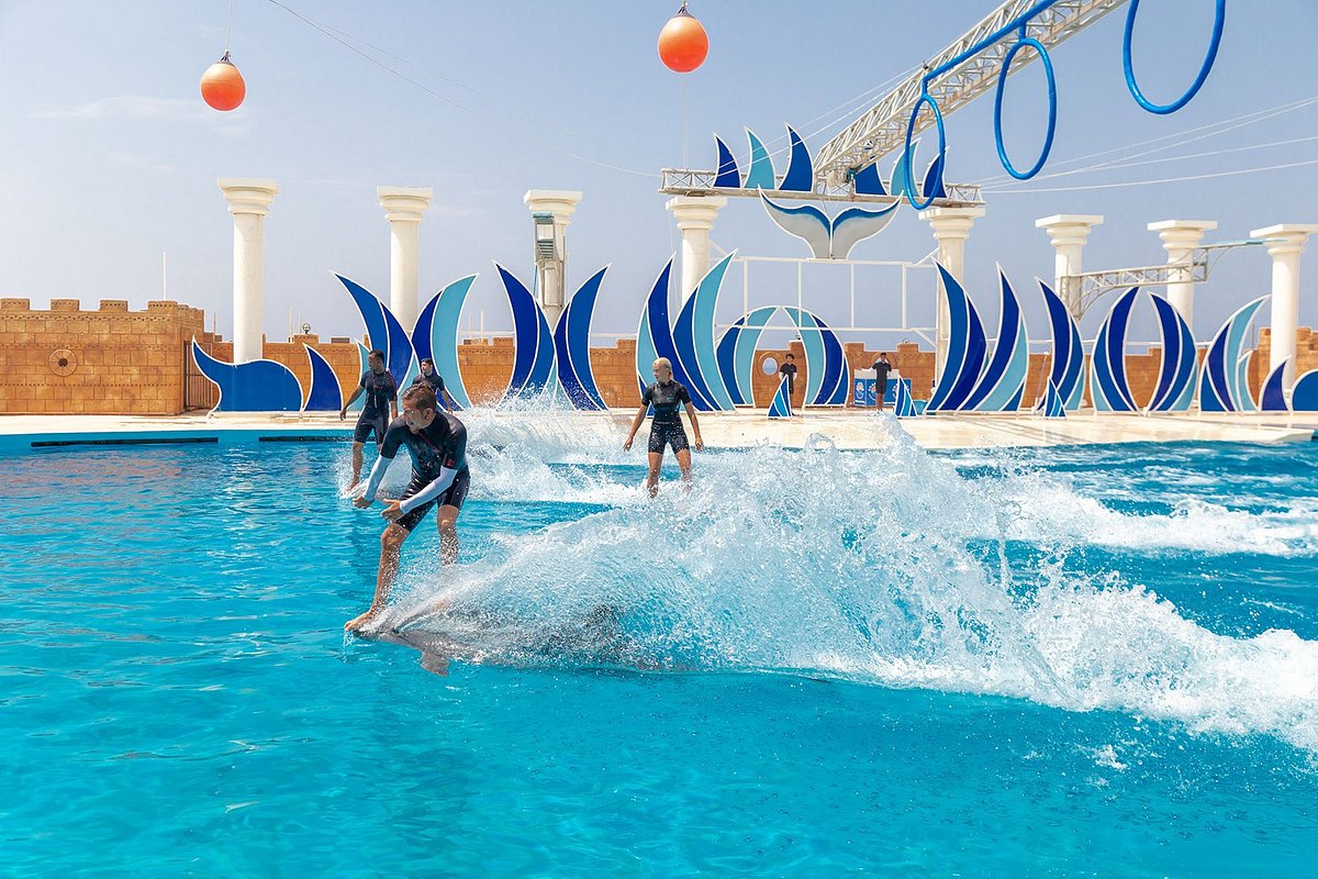 Alanya Dolphin Show gallery 2
