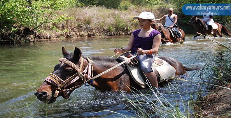 Horse Safari