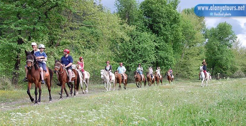 Horse Safari