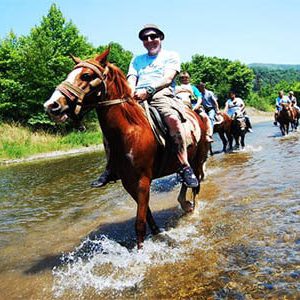 horse safari
