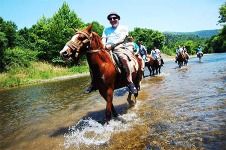 horse safari