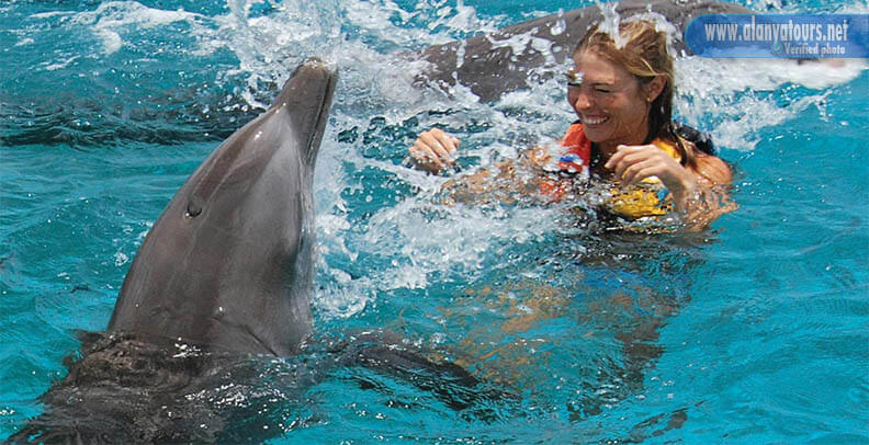 Swim with dolphins