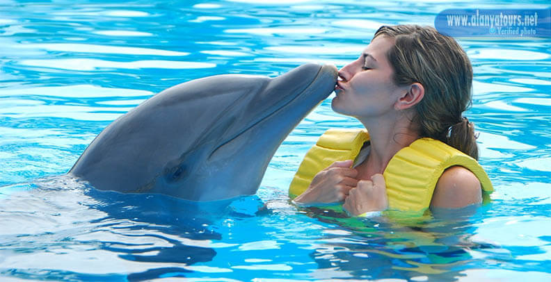 Swim with dolphins