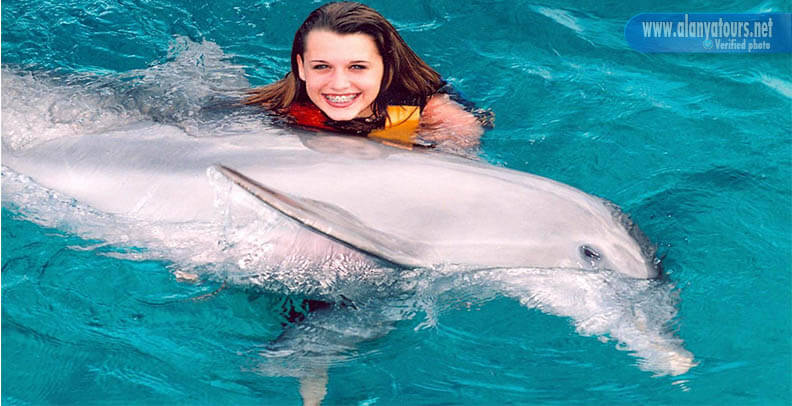 Swim with dolphins